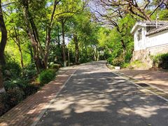 -北极阁公园