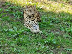 -大连森林动物园