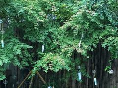 -同济大学图书馆(嘉定校区)