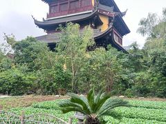 -重元寺香积厨素斋馆