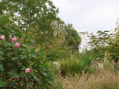 -良渚古城遗址公园