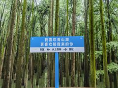 -青山湖景区