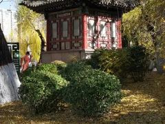 -文瀛公园