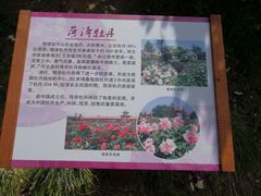 -北京植物园-展览温室