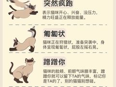-翊宠yipet猫狗购宠庄园犬舍•猫舍