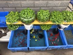 -秦美花卉(天朗·莱茵小城2期店)