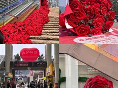 -万科生活广场(东莞松山湖店)