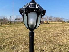 -福田红树林生态公园