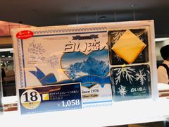 -TIAT DUTY FREE SHOP NORTH(羽田机场店)