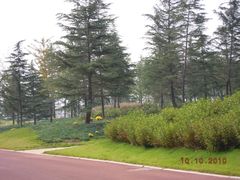 -济南国际园博园