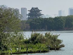 -海珠湖公园