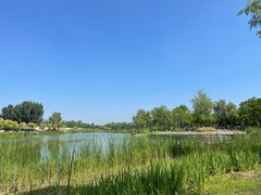 -东郊湿地公园