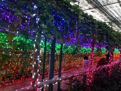 -万源龙顺度假庄园生态观光园