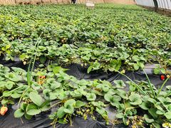 -兴芮温泉度假区