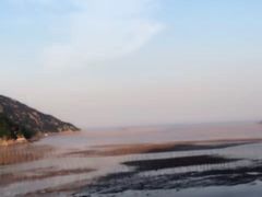 -北岐滩涂