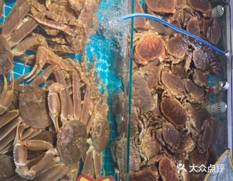 日照旅游‖ 带你了解日照海鲜怎么买