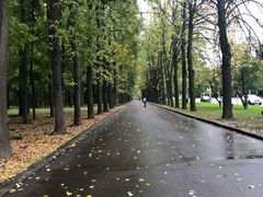 -莫斯科大学