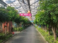 -南宫五洲植物乐园