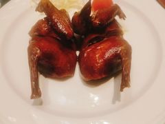 红烧乳鸽-钟菜·粤菜点心·宴请(海上世界·汇港二期店)