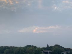 -贡湖湾湿地公园