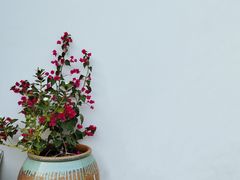 -山塘街
