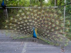 -福建鲤鱼洲酒店