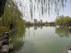 -迎泽公园