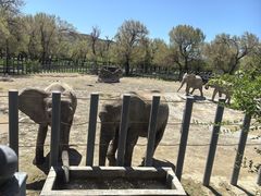-新疆天山野生动物园