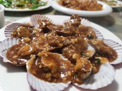 蚝油扇贝-华春餐馆(鱼山路店)