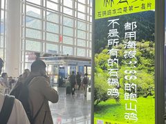 -林芝米林机场