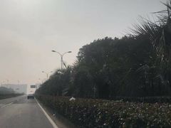 -安飞驰驾校·学车连锁(金高店)