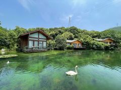 -杭州开元森泊度假乐园