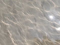 -中国宜宾·长江地标广场