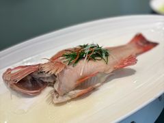 古法蒸东星斑-虹御轩·传承江浙菜(虹桥店)