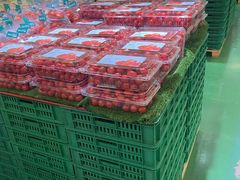 -麦德龙(湖里店)