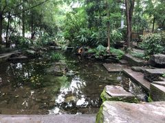 -成都市活水公园