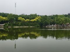 -北宫国家森林公园