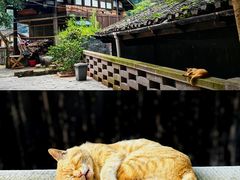 -赤水丹霞旅游区·大瀑布