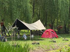 -同銮特种养殖场·龙虾垂钓