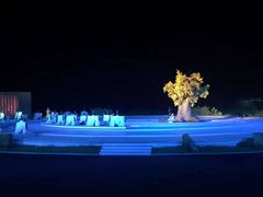 -鼎盛王朝康熙大典实景演出