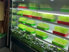 -番食园鲜食火锅(高新店)
