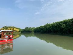 -大湾区中央湿地公园