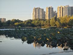 -太阳宫公园