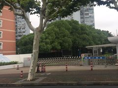 -上海市世外小学