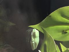 -暹罗海洋世界