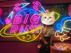 -BIG PINK大粉娃娃机主题馆(圆融星座店)