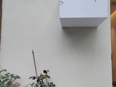 -风吟仟茶(河街店)