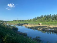 -东郊湿地公园