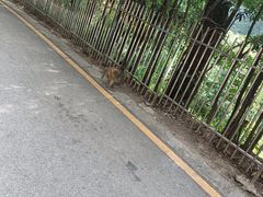 -禾生粑粑坊(陕西路店)