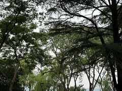 -西湖天地